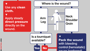 Save a Life Flowchart